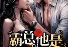 霸总他是小狼狗呀林归黎何厉琛，霸总他是小狼狗呀小说免费阅读-贝壳文学