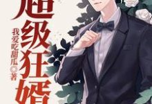 免费阅读陈英雄何婧妍为主角的小说,超级狂婿在线看-贝壳文学