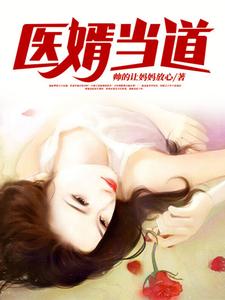 医婿当道小说免费资源，医婿当道在线阅读