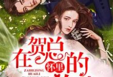 在贺总的怀里放肆小说免费资源，在贺总的怀里放肆在线阅读-贝壳文学