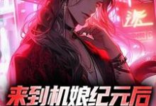 苏年星辰小说在线章节免费阅读(来到机娘纪元后,我杀疯了无弹窗无删减)-贝壳文学