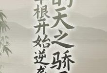 古青云罗刹的故事在哪本书里？免费阅读从草根开始逆袭的天之骄子-贝壳文学