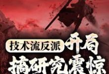技术流反派：开局搞研究震惊万界主角小说，技术流反派：开局搞研究震惊万界主角最新章节-贝壳文学
