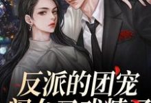 小说《反派的团宠闺女又戏精了》章节免费阅读-贝壳文学