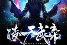 在线寻找凌天武皇胡珊珊的小说，凌天武帝免费阅读-贝壳文学