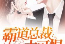 天后前妻：霸道总裁太可恨小说阅读，天后前妻：霸道总裁太可恨完结版-贝壳文学