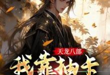 天龙八部：我靠抽卡解锁剧情景奉天沐云舟小说大结局免费试读-贝壳文学