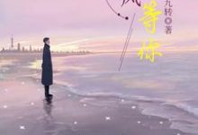 等风也等你小说有没有完整的免费版本在线阅读?-贝壳文学