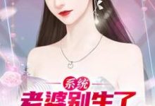江白柳如烟小说《系统：老婆别生了，孩子喂不起了》在线阅读-贝壳文学