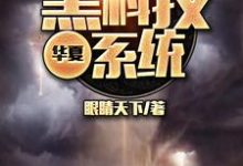 华夏黑科技系统林炎林小蝶凌芸霜林逸小说在线章节免费阅读-贝壳文学