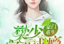 完整版的豪门重生之樊少宠妻成瘾小说在哪里可以免费读到?-贝壳文学