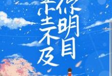 哪里能找到星尘不及你明目小说的全部章节？-贝壳文学