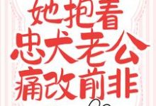 新婚夜，她抱着忠犬老公痛改前非时九念傅景琛小说免费阅读-贝壳文学