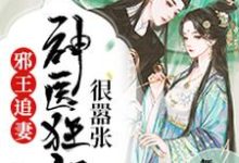 邪王追妻：神医狂妃很嚣张小说有没有完结版在线？-贝壳文学