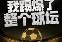 小说《这一脚,我踢爆了整个球坛》章节免费阅读-贝壳文学