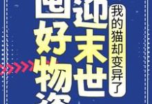 主人公叫江芷的小说囤好物资迎末世,我的猫却变异了在线阅读章节-贝壳文学