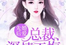 先婚后爱：总裁，深情不悔主角沈若水厉牟炀小说完结版章节在线阅读-贝壳文学