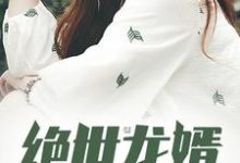 绝世龙婿免费阅读，绝世龙婿章节在线阅读-贝壳文学
