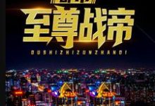完结版《都市至尊战帝》章节阅读-贝壳文学