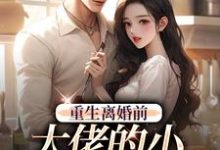 《重生离婚前，大佬的小娇妻杀疯了》小说大结局免费试读 时雨厉宴霆小说-贝壳文学