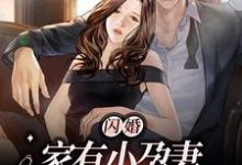 闪婚:家有小孕妻,爹系总裁日日哄小说的免费电子版在哪里可以下载或阅读?-贝壳文学