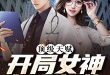 在线搜索苏树的完整小说，免费阅读顶级天赋：开局女神投入怀抱-贝壳文学