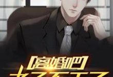 完结版《离婚吧，老子不干了》章节目录在线阅读-贝壳文学