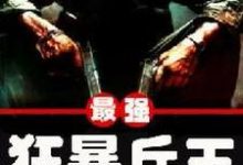 最强狂暴兵王小说有没有完整的免费版本在线阅读？-贝壳文学