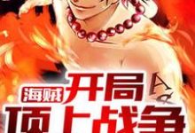 在线寻找海贼：开局顶上战争小说的无删减版本-贝壳文学