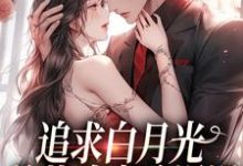 想读姜苒傅司寒的故事，哪里可以免费找到追求白月光，总裁追妻路漫漫？-贝壳文学