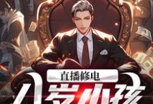 周小杨为主角的小说直播修电：八岁小孩满级手艺在线阅读-贝壳文学