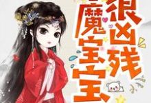 半魔宝宝很凶残主角凌雪琪无夜小说完结版章节在线阅读-贝壳文学