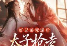 完结版《好兄弟死遁后，太子抢走了娇娇》免费阅读-贝壳文学