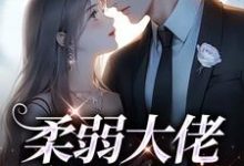 柔弱大佬白切黑后免费阅读，柔弱大佬白切黑后章节在线阅读-贝壳文学