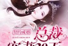 言晚霍黎辰言默林为主角的小说叫什么？免费看契约成婚，总裁宠妻30天-贝壳文学