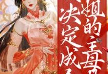 男女主人公云扶齐君烨小说重生后，我决定成全姐姐的主母梦章节免费阅读-贝壳文学