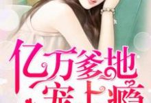 寻找能够免费阅读亿万爹地宠上瘾小说的平台-贝壳文学