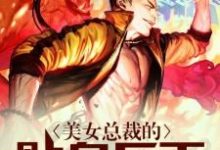 美女总裁的贴身兵王林峰，美女总裁的贴身兵王小说免费阅读-贝壳文学