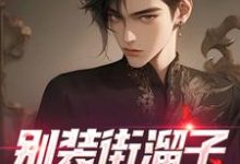 完结版《别装街溜子，你就是神探》章节目录在线阅读-贝壳文学