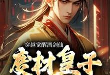 赢子修小说叫什么（穿越觉醒酒剑仙，废材皇子赢麻了免费阅读）-贝壳文学