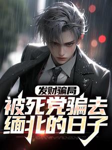叶星的故事在哪本书里？免费阅读发财骗局：被死党骗去缅北的日子