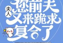 小说《夫人，您前夫又来跪求复合了》章节阅读-贝壳文学