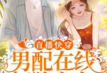 完结版《直播快穿：男配在线打脸主角》免费阅读-贝壳文学
