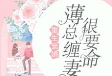 重生宠婚:薄总缠妻很要命章节免费在线阅读,曲瓷薄时延曲洛依完结版-贝壳文学