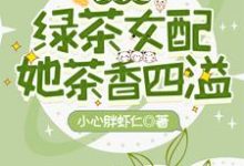快穿之绿茶女配她茶香四溢章节免费在线阅读，季眠完结版-贝壳文学