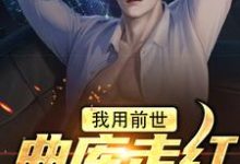 我用前世曲库走红歌坛后小说，我用前世曲库走红歌坛后最新章节-贝壳文学
