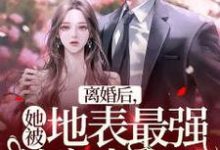 离婚后，她被地表最强首富表白了小说的免费阅读版本在哪里可以找到？-贝壳文学