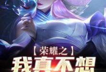 完结版《荣耀之我真不想打职业》章节阅读-贝壳文学