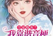 男女主人公叫秦以漾陆晏之的小说免费资源-贝壳文学