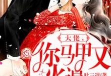 大佬，你马甲又火遍全球了小说最新更新在哪里？免费在线看-贝壳文学